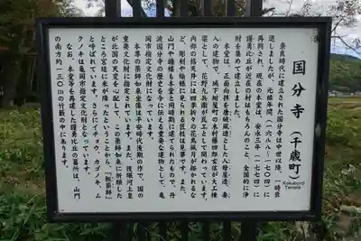 國分寺(国分寺)の歴史
