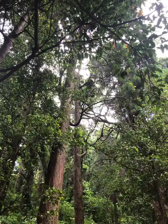 石體神社の自然