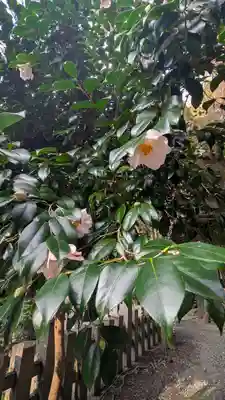 大豊神社(京都府)