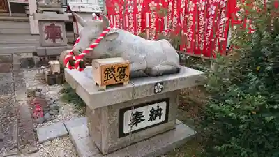 白山比咩神社の狛犬