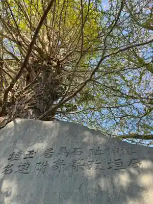 津神社(茨城県)