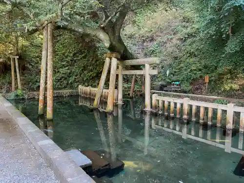 鹿島神宮のその他建物
