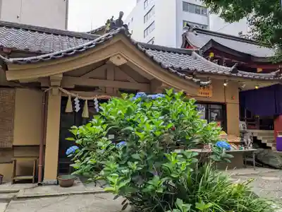 日本橋日枝神社(東京都)
