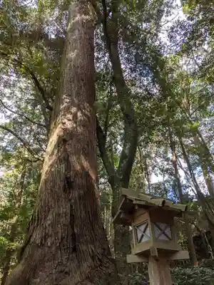 伊勢神宮内宮（皇大神宮）(三重県)