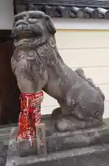 御霊神社の狛犬