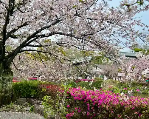 三嶋大社(静岡県)