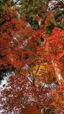 龍安寺(京都府)