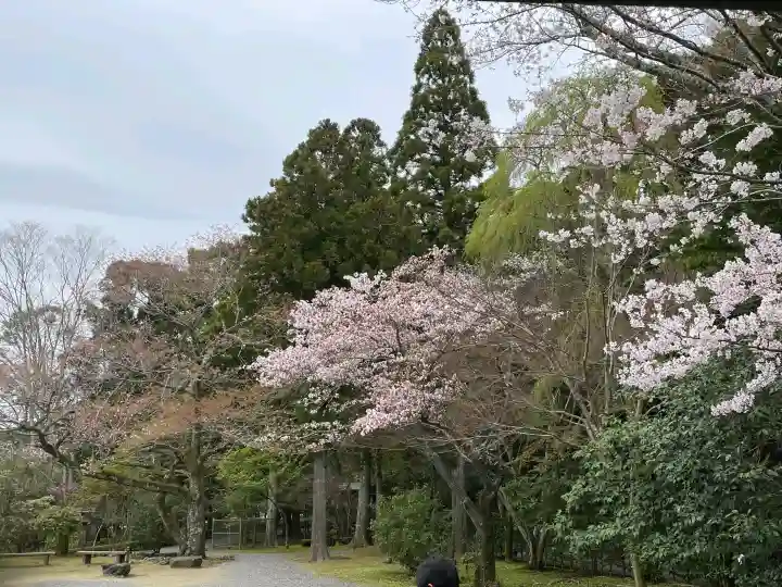 伊勢神宮内宮(皇大神宮)の{uncategorized: "未分類", other: "その他", undefined: "問題あり", building: "その他建物", grave: "お墓", sacred_gate: "鳥居", guardian: "狛犬", statue: "像", buddha: "仏像", history: "歴史", nature: "自然", garden: "庭園", animal: "動物", pagoda: "塔", temizu: "手水舎", mountain_gate: "山門・神門", sanctuary: "本殿・本堂", subordinate: "末社・摂社", art: "芸術", scenery: "景色", jizo: "地蔵", ema: "絵馬", goshuin: "御朱印", omikuji: "おみくじ", items: "授与品その他", amulet: "お守り", goshuincho: "御朱印帳", eats: "食事", festival: "お祭り", votive_dance: "神楽", shichigosan: "七五三参", wedding: "結婚式", experience: "体験その他", initially: "初詣", around: "周辺", anti_infection: "感染症対策"}