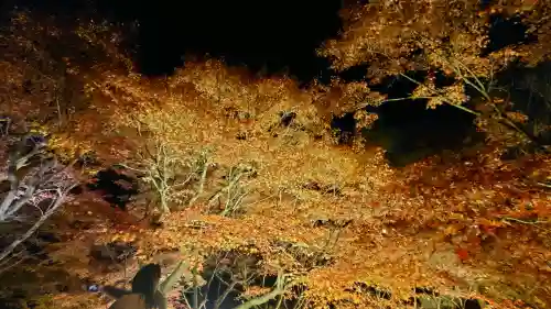 東福禅寺（東福寺）の{uncategorized: "未分類", other: "その他", undefined: "問題あり", building: "その他建物", grave: "お墓", sacred_gate: "鳥居", guardian: "狛犬", statue: "像", buddha: "仏像", history: "歴史", nature: "自然", garden: "庭園", animal: "動物", pagoda: "塔", temizu: "手水舎", mountain_gate: "山門・神門", sanctuary: "本殿・本堂", subordinate: "末社・摂社", art: "芸術", scenery: "景色", jizo: "地蔵", ema: "絵馬", goshuin: "御朱印", omikuji: "おみくじ", items: "授与品その他", amulet: "お守り", goshuincho: "御朱印帳", eats: "食事", festival: "お祭り", votive_dance: "神楽", shichigosan: "七五三参", wedding: "結婚式", experience: "体験その他", initially: "初詣", around: "周辺", anti_infection: "感染症対策"}