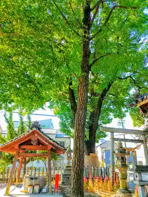白山神社の自然