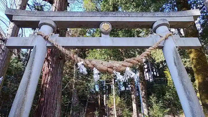 王宮伊豆神社の鳥居
