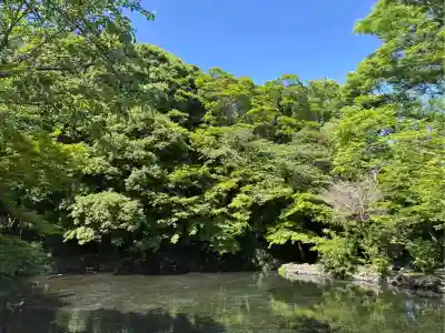 富士山本宮浅間大社の{uncategorized: "未分類", other: "その他", undefined: "問題あり", building: "その他建物", grave: "お墓", sacred_gate: "鳥居", guardian: "狛犬", statue: "像", buddha: "仏像", history: "歴史", nature: "自然", garden: "庭園", animal: "動物", pagoda: "塔", temizu: "手水舎", mountain_gate: "山門・神門", sanctuary: "本殿・本堂", subordinate: "末社・摂社", art: "芸術", scenery: "景色", jizo: "地蔵", ema: "絵馬", goshuin: "御朱印", omikuji: "おみくじ", items: "授与品その他", amulet: "お守り", goshuincho: "御朱印帳", eats: "食事", festival: "お祭り", votive_dance: "神楽", shichigosan: "七五三参", wedding: "結婚式", experience: "体験その他", initially: "初詣", around: "周辺", anti_infection: "感染症対策"}