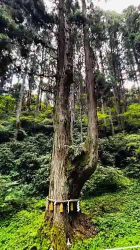 御岩神社(茨城県)