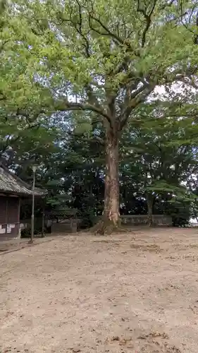伊居太神社(大阪府)
