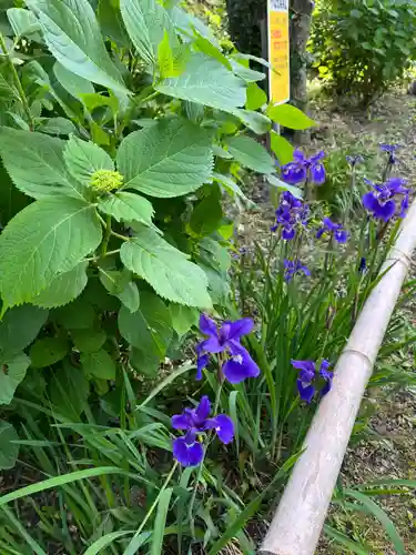 石清水八幡宮(京都府)