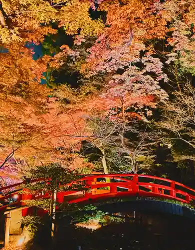 北野天満宮の景色