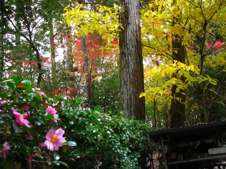 安養寺のその他建物