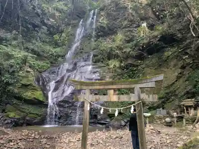 速開都比売神社の{uncategorized: "未分類", other: "その他", undefined: "問題あり", building: "その他建物", grave: "お墓", sacred_gate: "鳥居", guardian: "狛犬", statue: "像", buddha: "仏像", history: "歴史", nature: "自然", garden: "庭園", animal: "動物", pagoda: "塔", temizu: "手水舎", mountain_gate: "山門・神門", sanctuary: "本殿・本堂", subordinate: "末社・摂社", art: "芸術", scenery: "景色", jizo: "地蔵", ema: "絵馬", goshuin: "御朱印", omikuji: "おみくじ", items: "授与品その他", amulet: "お守り", goshuincho: "御朱印帳", eats: "食事", festival: "お祭り", votive_dance: "神楽", shichigosan: "七五三参", wedding: "結婚式", experience: "体験その他", initially: "初詣", around: "周辺", anti_infection: "感染症対策"}