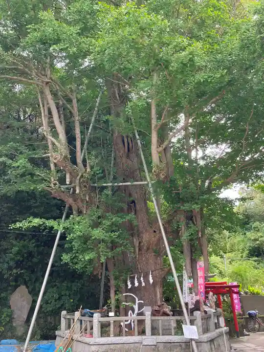 海南神社(神奈川県)