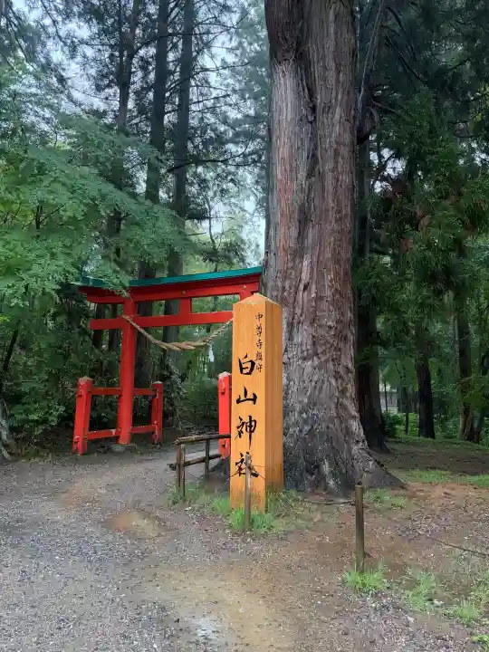 白山神社(岩手県)
