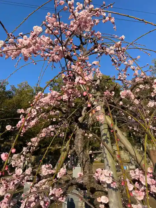 伊勢の国 四天王寺(三重県)