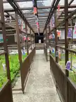 国上寺(新潟県)