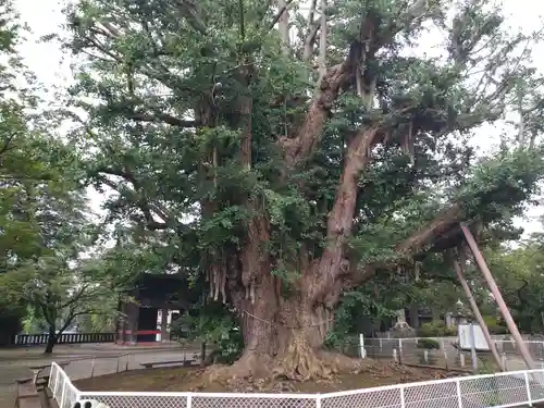 千葉寺のその他建物