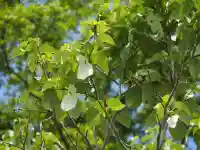 成就院の{uncategorized: "未分類", other: "その他", undefined: "問題あり", building: "その他建物", grave: "お墓", sacred_gate: "鳥居", guardian: "狛犬", statue: "像", buddha: "仏像", history: "歴史", nature: "自然", garden: "庭園", animal: "動物", pagoda: "塔", temizu: "手水舎", mountain_gate: "山門・神門", sanctuary: "本殿・本堂", subordinate: "末社・摂社", art: "芸術", scenery: "景色", jizo: "地蔵", ema: "絵馬", goshuin: "御朱印", omikuji: "おみくじ", items: "授与品その他", amulet: "お守り", goshuincho: "御朱印帳", eats: "食事", festival: "お祭り", votive_dance: "神楽", shichigosan: "七五三参", wedding: "結婚式", experience: "体験その他", initially: "初詣", around: "周辺", anti_infection: "感染症対策"}