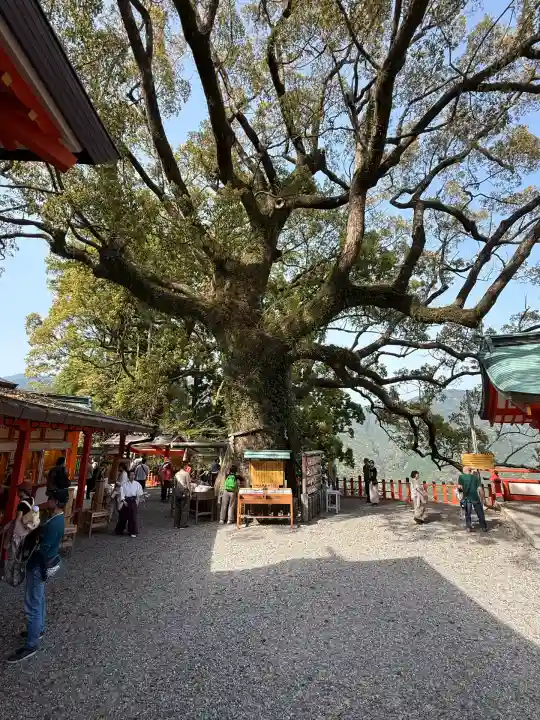 熊野那智大社(和歌山県)
