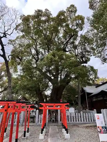 信太森神社（葛葉稲荷神社）(大阪府)