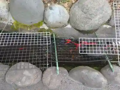 阿佐ヶ谷神明宮(東京都)