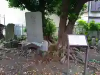 和田塚(神奈川県)