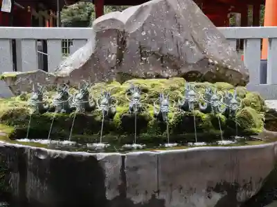 九頭龍神社新宮の{uncategorized: "未分類", other: "その他", undefined: "問題あり", building: "その他建物", grave: "お墓", sacred_gate: "鳥居", guardian: "狛犬", statue: "像", buddha: "仏像", history: "歴史", nature: "自然", garden: "庭園", animal: "動物", pagoda: "塔", temizu: "手水舎", mountain_gate: "山門・神門", sanctuary: "本殿・本堂", subordinate: "末社・摂社", art: "芸術", scenery: "景色", jizo: "地蔵", ema: "絵馬", goshuin: "御朱印", omikuji: "おみくじ", items: "授与品その他", amulet: "お守り", goshuincho: "御朱印帳", eats: "食事", festival: "お祭り", votive_dance: "神楽", shichigosan: "七五三参", wedding: "結婚式", experience: "体験その他", initially: "初詣", around: "周辺", anti_infection: "感染症対策"}