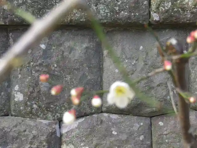御霊神社のその他建物