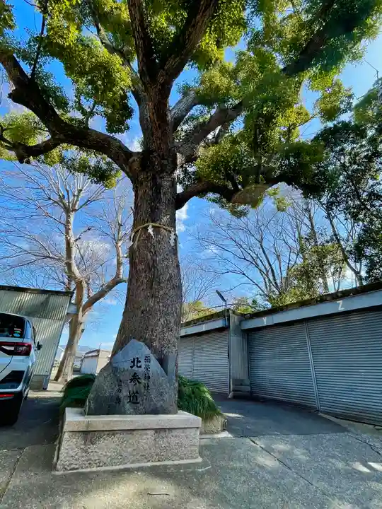彌榮神社の自然