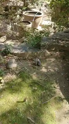 長楽寺のその他建物