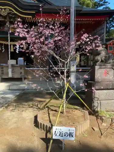 山倉大神の{uncategorized: "未分類", other: "その他", undefined: "問題あり", building: "その他建物", grave: "お墓", sacred_gate: "鳥居", guardian: "狛犬", statue: "像", buddha: "仏像", history: "歴史", nature: "自然", garden: "庭園", animal: "動物", pagoda: "塔", temizu: "手水舎", mountain_gate: "山門・神門", sanctuary: "本殿・本堂", subordinate: "末社・摂社", art: "芸術", scenery: "景色", jizo: "地蔵", ema: "絵馬", goshuin: "御朱印", omikuji: "おみくじ", items: "授与品その他", amulet: "お守り", goshuincho: "御朱印帳", eats: "食事", festival: "お祭り", votive_dance: "神楽", shichigosan: "七五三参", wedding: "結婚式", experience: "体験その他", initially: "初詣", around: "周辺", anti_infection: "感染症対策"}