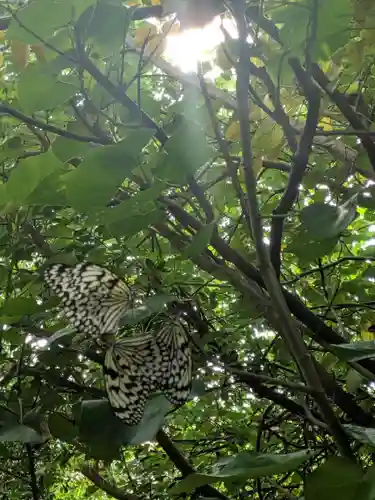 波上宮(沖縄県)