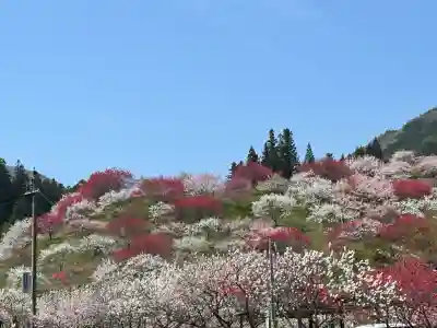 信濃比叡廣拯院(長野県)