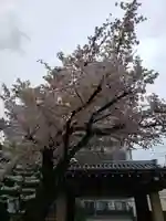 報恩寺(東京都)