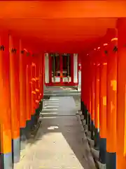 阿遅速雄神社(大阪府)