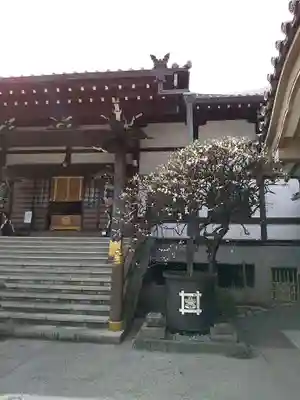 感通寺の本殿・本堂