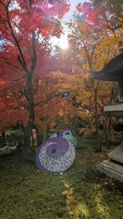 勝林寺(京都府)