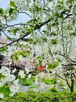 六孫王神社(京都府)