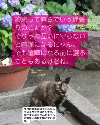 専念寺(大阪府)