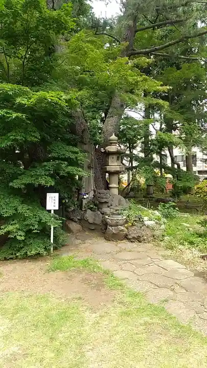 観音寺(世田谷山観音寺)(東京都)