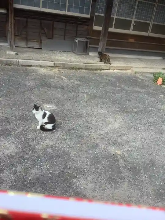 福住寺の動物