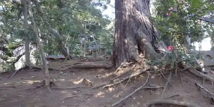 七百餘所神社 の自然