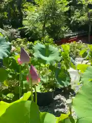 普門寺(切り絵御朱印発祥の寺)(愛知県)