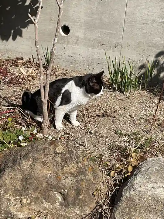 井際山 如意輪寺(愛知県)